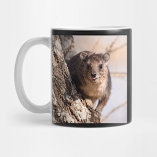 Tree Hyrax Mug